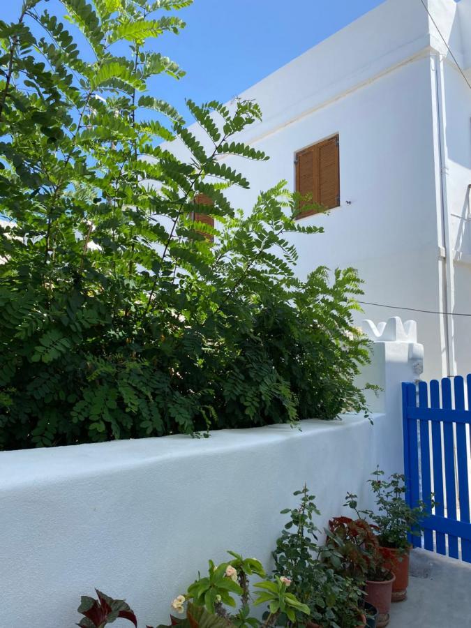 Blue Pearl Apartment Glinado Naxos Esterno foto