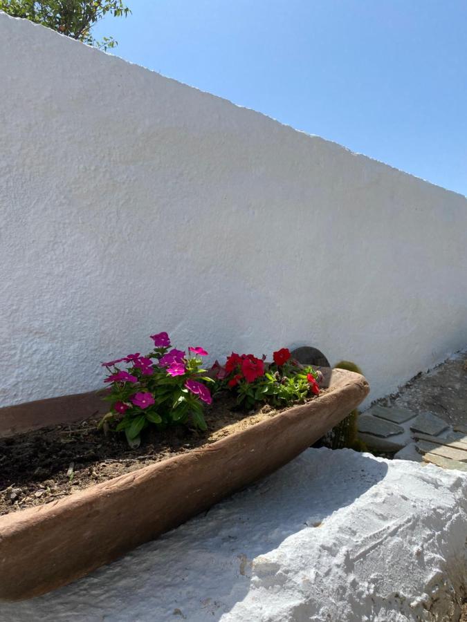 Blue Pearl Apartment Glinado Naxos Esterno foto