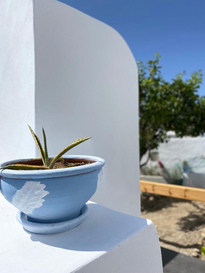 Blue Pearl Apartment Glinado Naxos Esterno foto