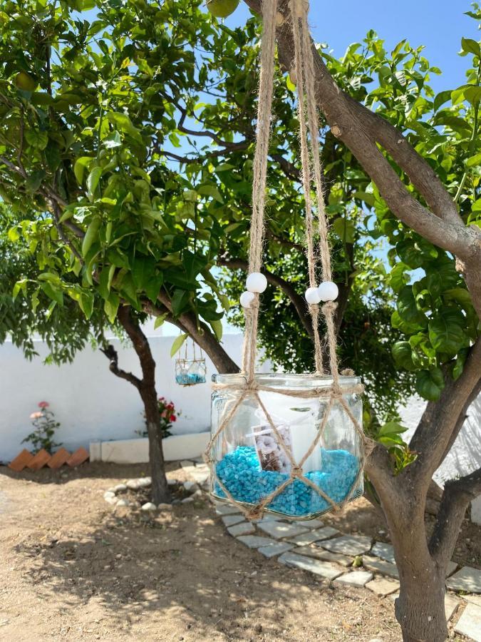 Blue Pearl Apartment Glinado Naxos Esterno foto